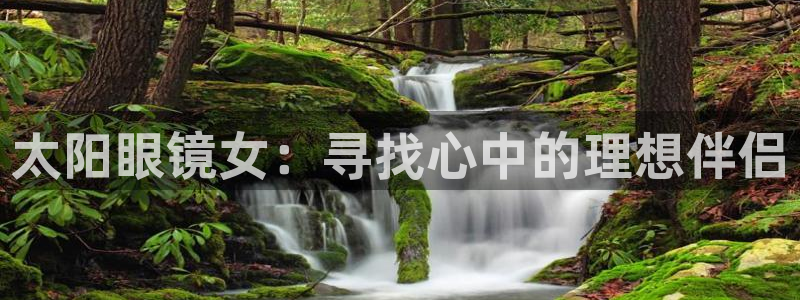 新宝5怎么代理