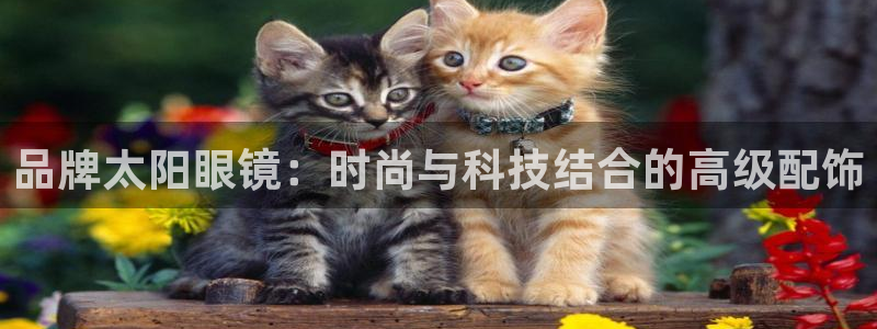 新宝5软件下载