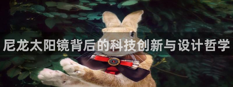 新宝5娱乐方