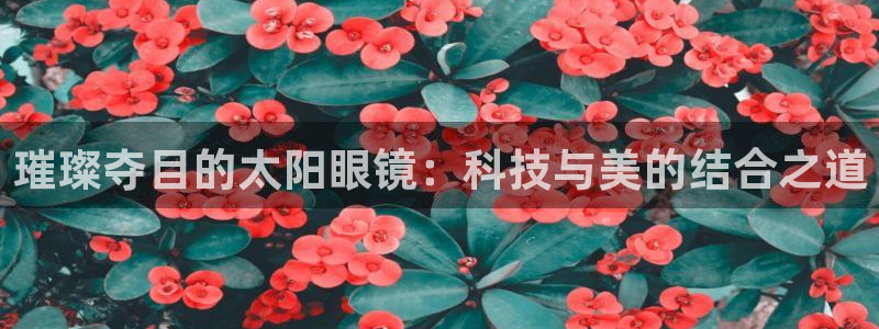 新宝5彩票平台登陆