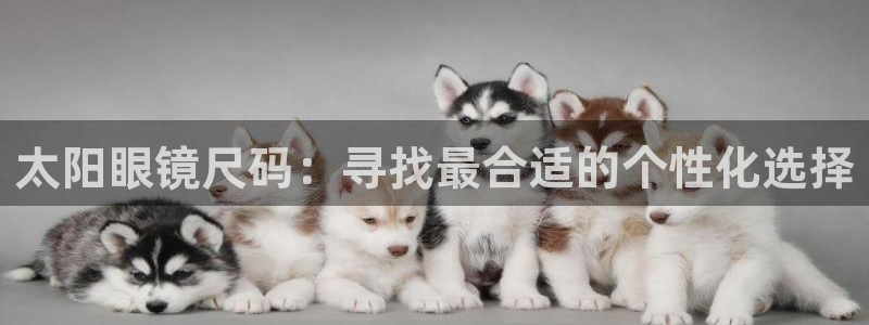 新宝5的网址
