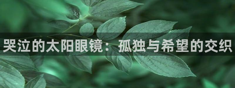 新宝5娱乐代理