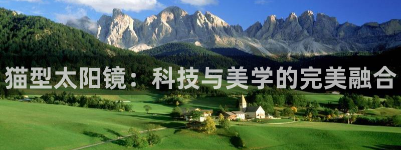 新宝股东瞧听2 5 5