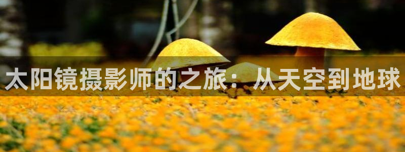 股票5G宝新