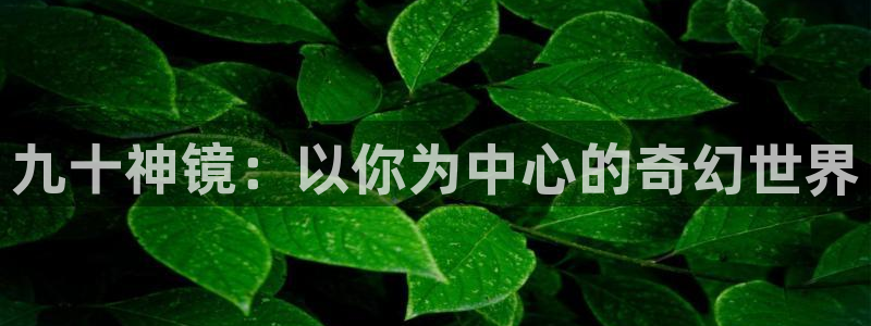 5新宝