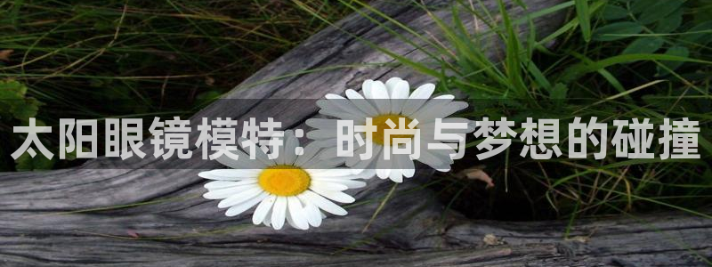 新宝5娱乐然