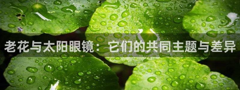 新宝5开好