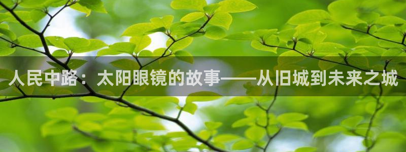 新宝5app手机下载