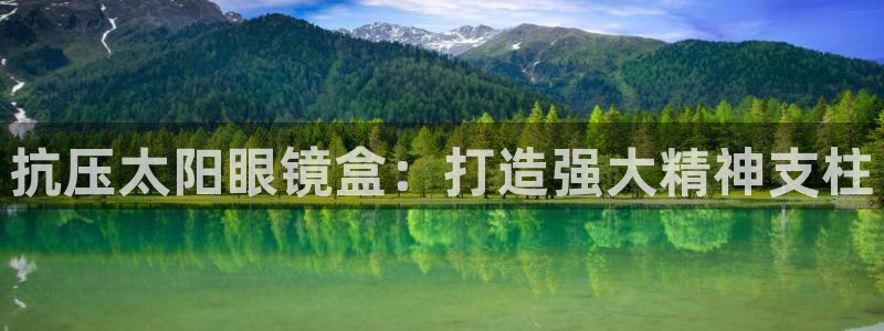 新宝股东瞧听2 5 5