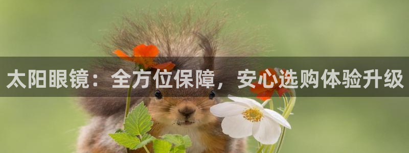 新宝5官方网站
