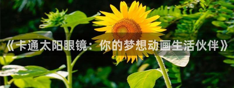 新宝5下载到桌面