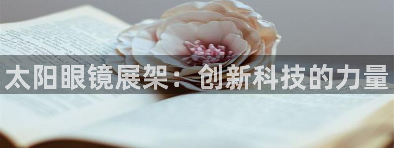 新宝股东瞧听2 5 5