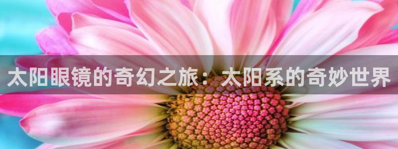 新宝5是什么样子的