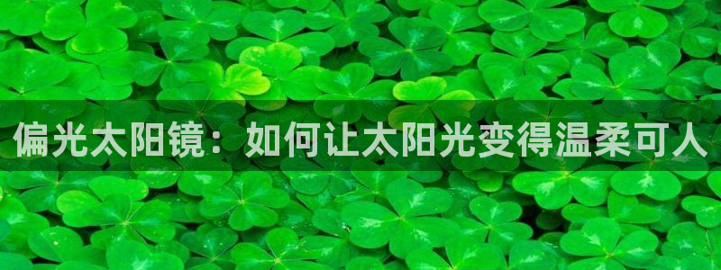 新宝5是什么样子的