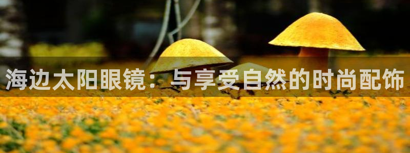 新宝5手机平台登陆