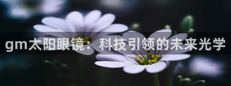 新宝5是谁的