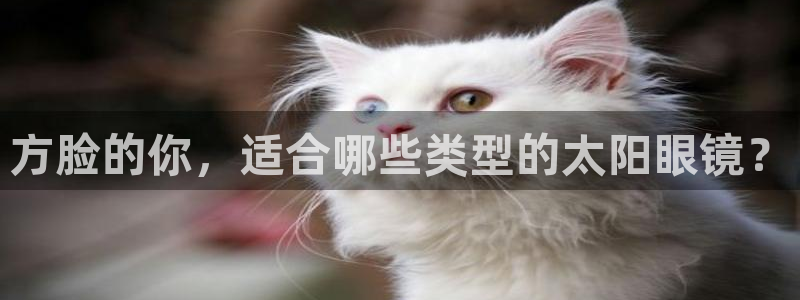新宝股东瞧听2 5 5
