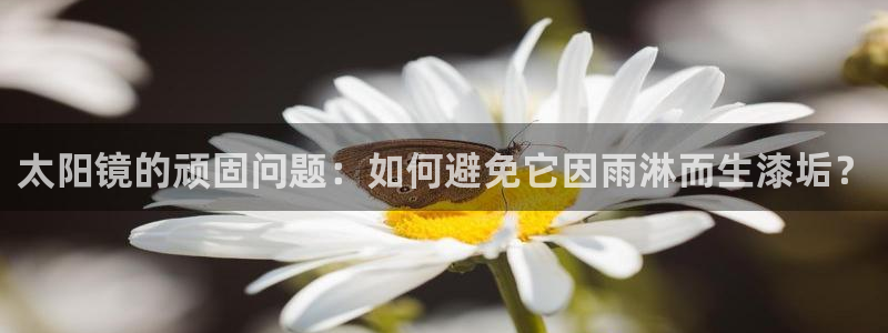 新宝5官网67五壹叁八