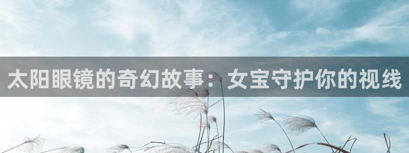 新宝5是什么