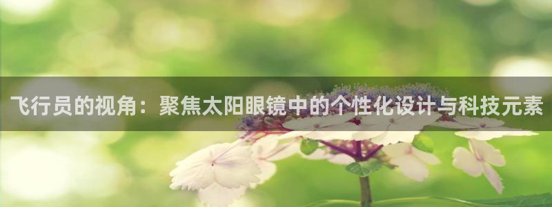 新宝5是什么