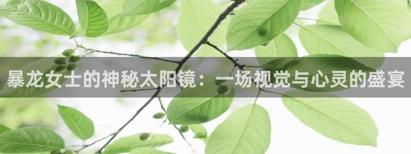 新宝5平棋牌
