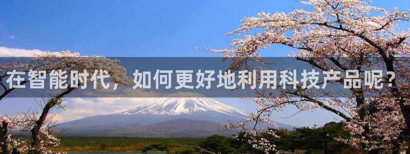 新宝5测